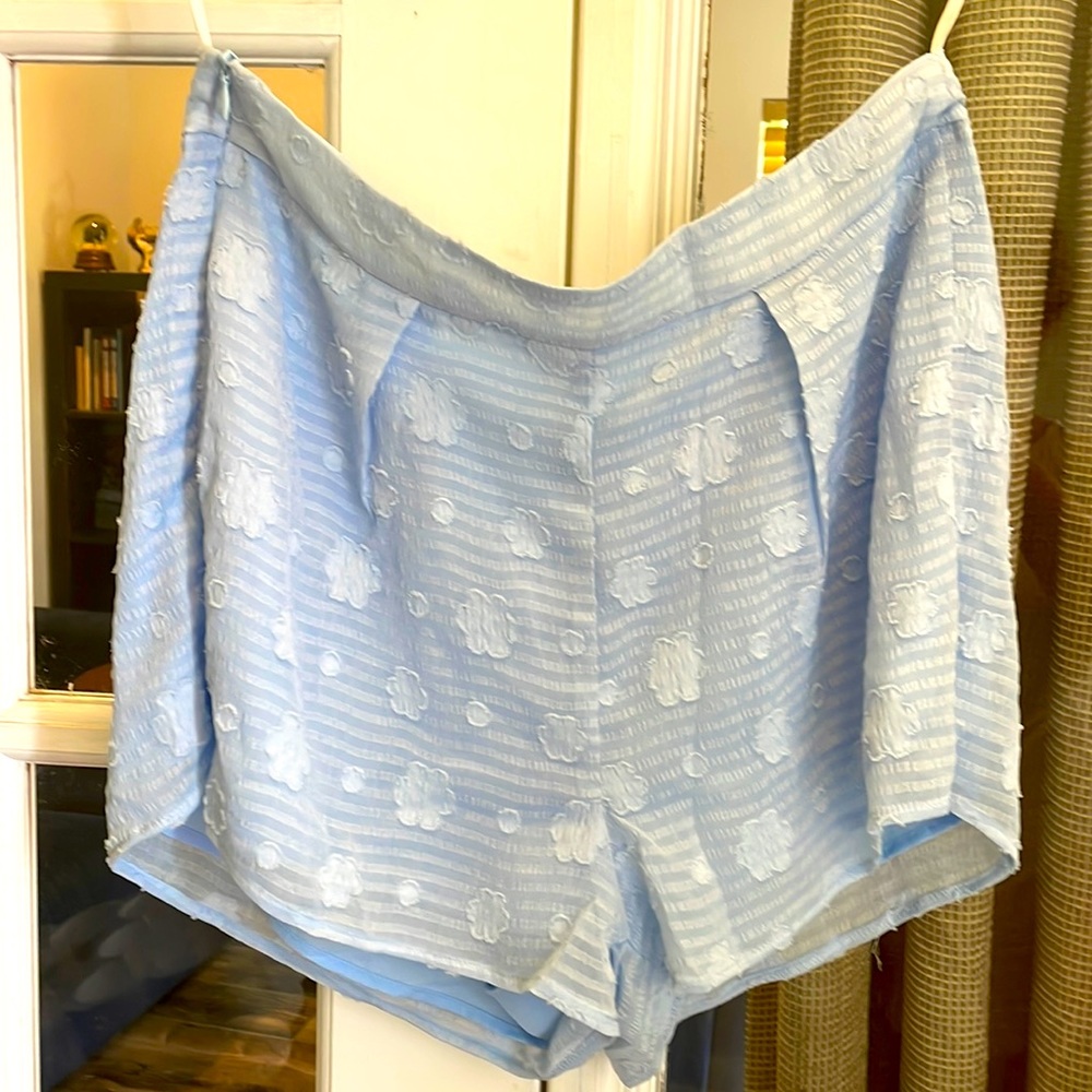 Cider cloud stripe shorts NWOT